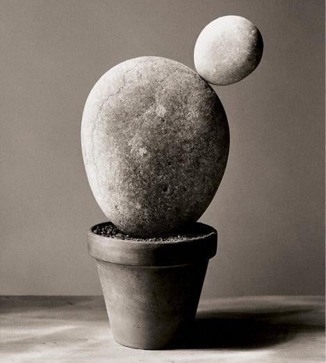 ‘La naturaleza de las cosas’, de Chema Madoz