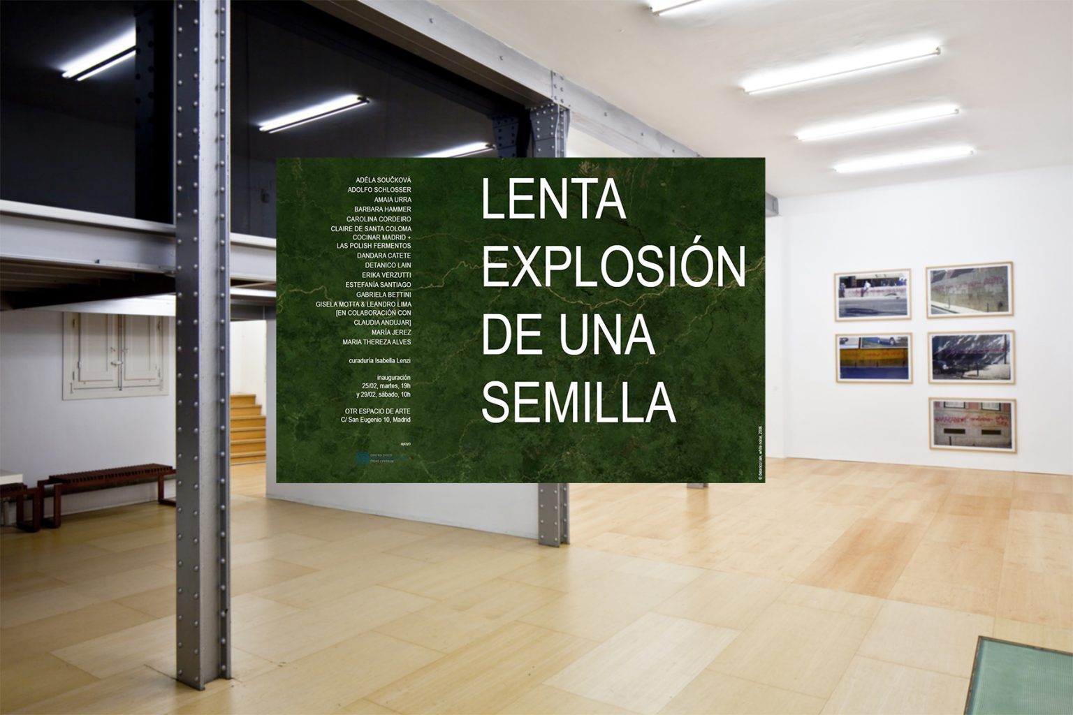 Lenta explosión de una semilla