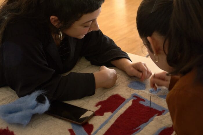 Mercado de Tejidos 2025 13