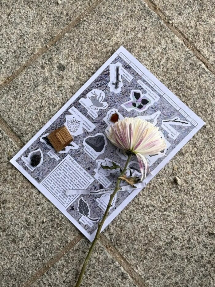 Oráculo del monte 3